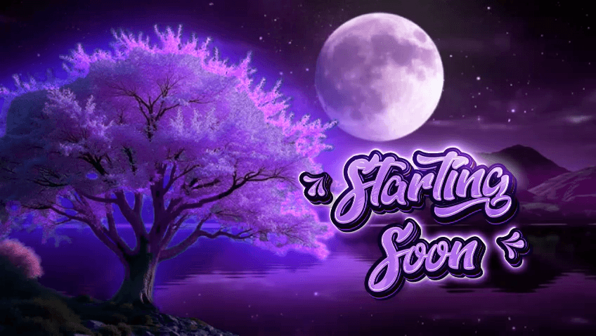 Digital creator packs featuring purple starting-soon stream screen.